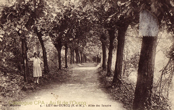 3. - LIZY-sur-OURCQ (S.-et-M.). - Allée des Soupirs